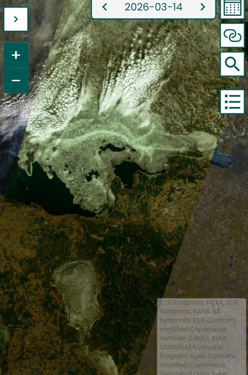 Лед на Финском заливе и Ладоге создал идеальные условия для размножения ластоногих Лед на Финском заливе и Ладоге создал идеальные условия для размножения ластоногих