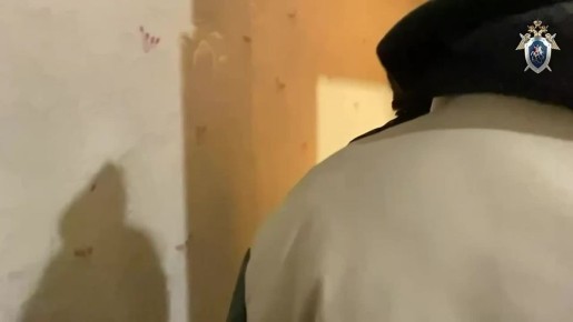 � �����-���������� ���������� ��������� ���� � ������������� � ��������� ���������������� ���������