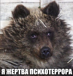 ������� ������: ���� ������ ���. ���� ������� ������ � �����