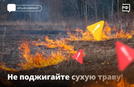 � �������� ������ ������ � ������������� ������� ������ ����������� ������ ���� �����