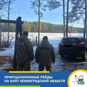 � ������� ���������� ���������� ������� ��������������-�����������