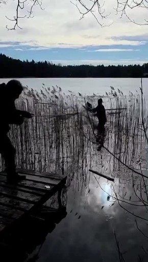 � ��������� ����������� ������ �������� ������