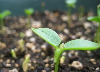 ��� ��������� ��������� ������� �������: ������� ������