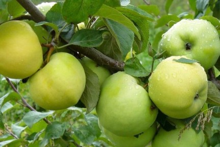 16 ������ ������������ ������ ��� ����������� �������� ������