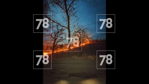 В Гатчине увидели горящую траву