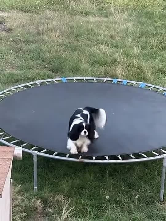 ���� 1 ������ ������ ������������� �������: ���������, ��������� �� �������, �������� - ������������ ����� �� ������, ������ �� �����