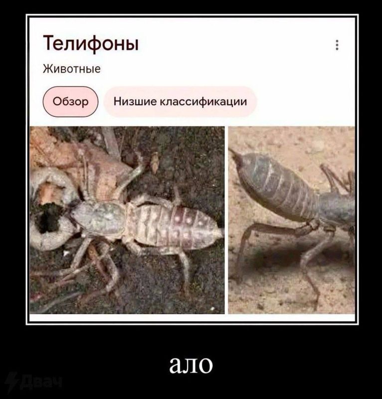 ��� ����� ������� ��������� �������� ������������� ����������