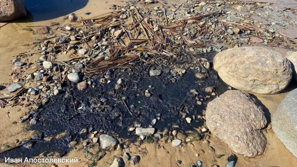 ������� ����� ���������� �������� ������ ���� �� �����, ������� �� ����� ���������