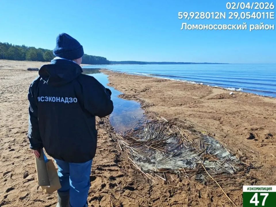 ��������� ������� ����� ����������� ������ �������� ������ � �������� ���������� ����������