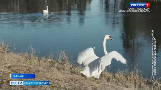 � ��������� ����� ������� ��������� ������ ���� �������