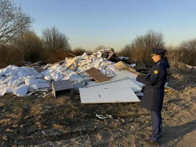 ���������� ��������� ����������� �������� ��������