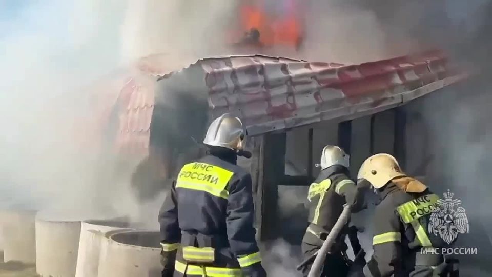 � ���������� ������ ������������ ����� � ���� � �����������