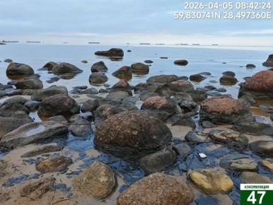 ��������� ��������� �������������� ���������� �� ������ �������� ������ � ������ ������� ���� �������������� ������