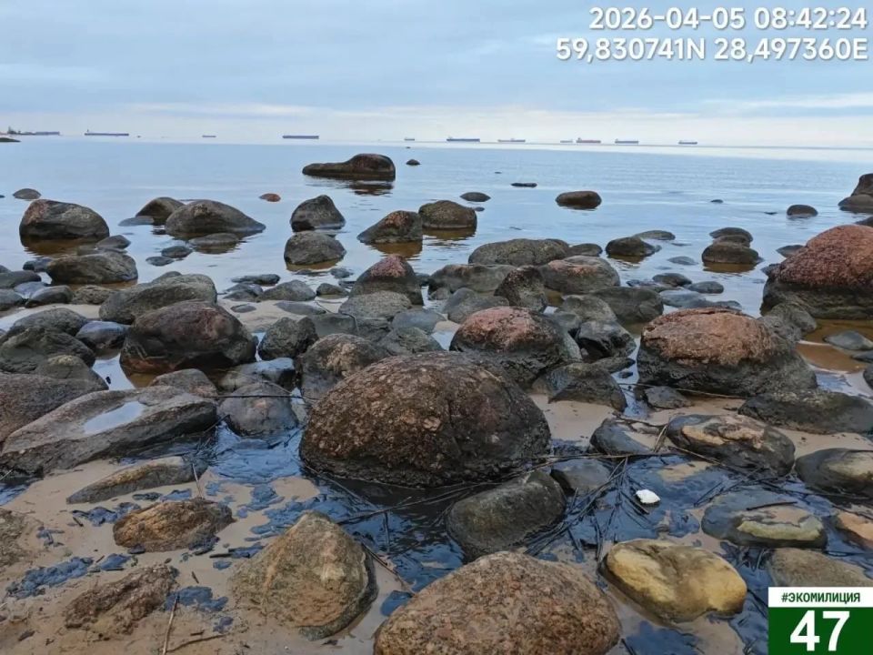 ����������� ������������ �������� ���������������� �������������� ������� ������������� ������� ������ �������: