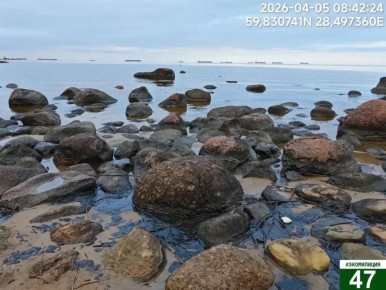 ���������: ��������� ��������� �������������� ���������� �� ������ �������� ������ ����� ������� ���� �������������� ������