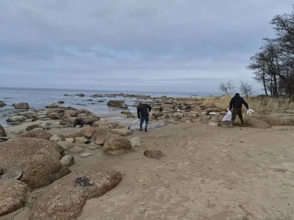 ������ �������������� � ������������� ������ ��������� ������������� �� ����� ������