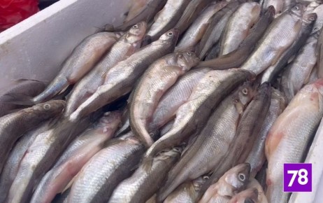 � ���������� � ���������� ���������� ������ ������ ������� �� 2026 ���