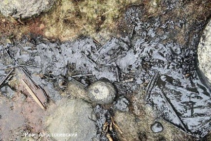 Разлив нефти в Финском заливе, в целом ликвидирован