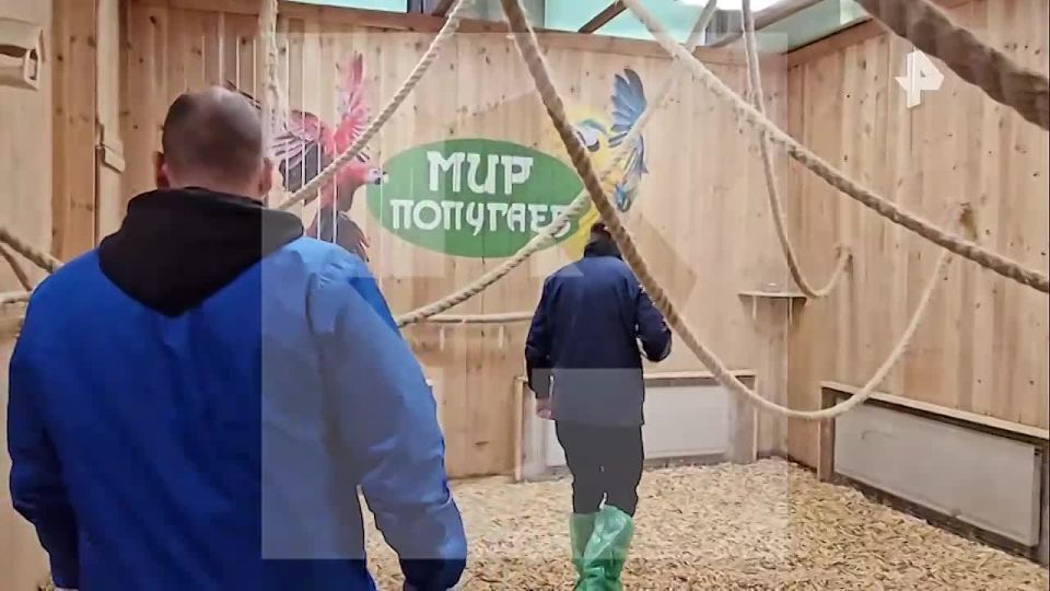 ������ 50 �������� �������� � ������� �������� � ����������