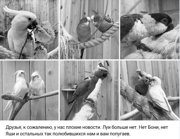 �� �� ����, ��� ��� ��� �������. ��� ������������