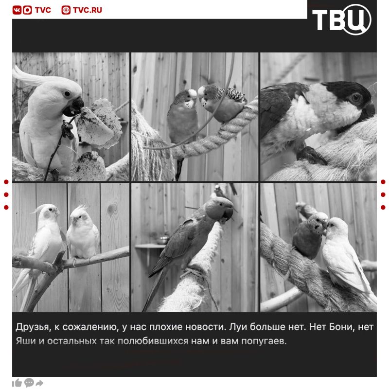 � ������� �������� ������������� ������� ������� ����� 50 ��������