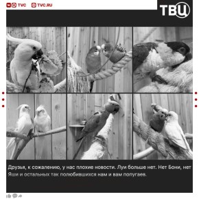 � ������� �������� ������������� ������� ������� ����� 50 ��������