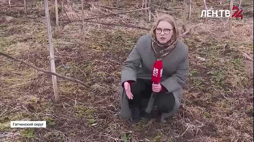 ������ ������� �������. ������ ������� ���������� � ���������� ������ ������������� ������� ���� ������� - �� �������� ����������� ������� ���������