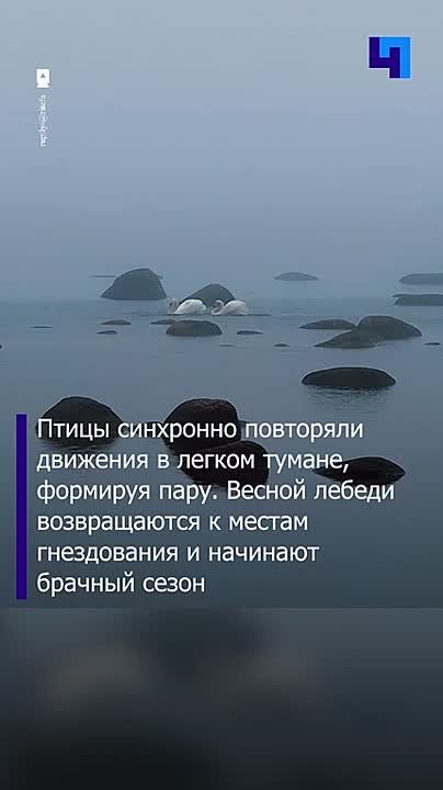 � ������� ������ ����� �������������� ������� ����� �������