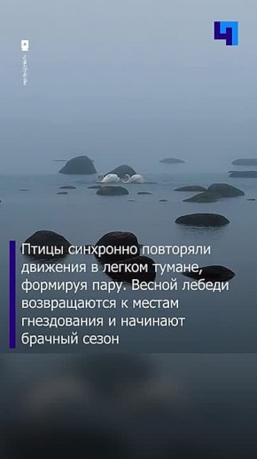 � ������� ������ ����� �������������� ������� ����� �������