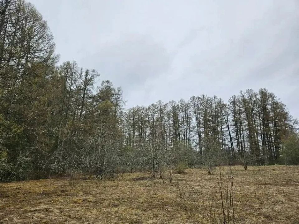 �������� ������� �������������� ������������� ���� �������� � ����������