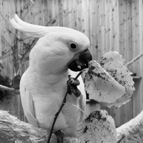 ����� ������ � ���������� �������� � ������� �������� � ������� - ���������� ��������� ����