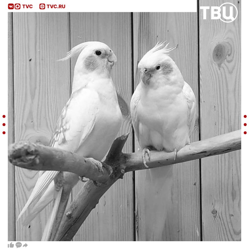 ���������� ��������� ���� ����� ���������� �������� � ������� �������� � ����������