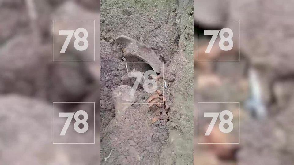 ������� 40 ������ ������ ��� ����� � ���������� ��� ���������