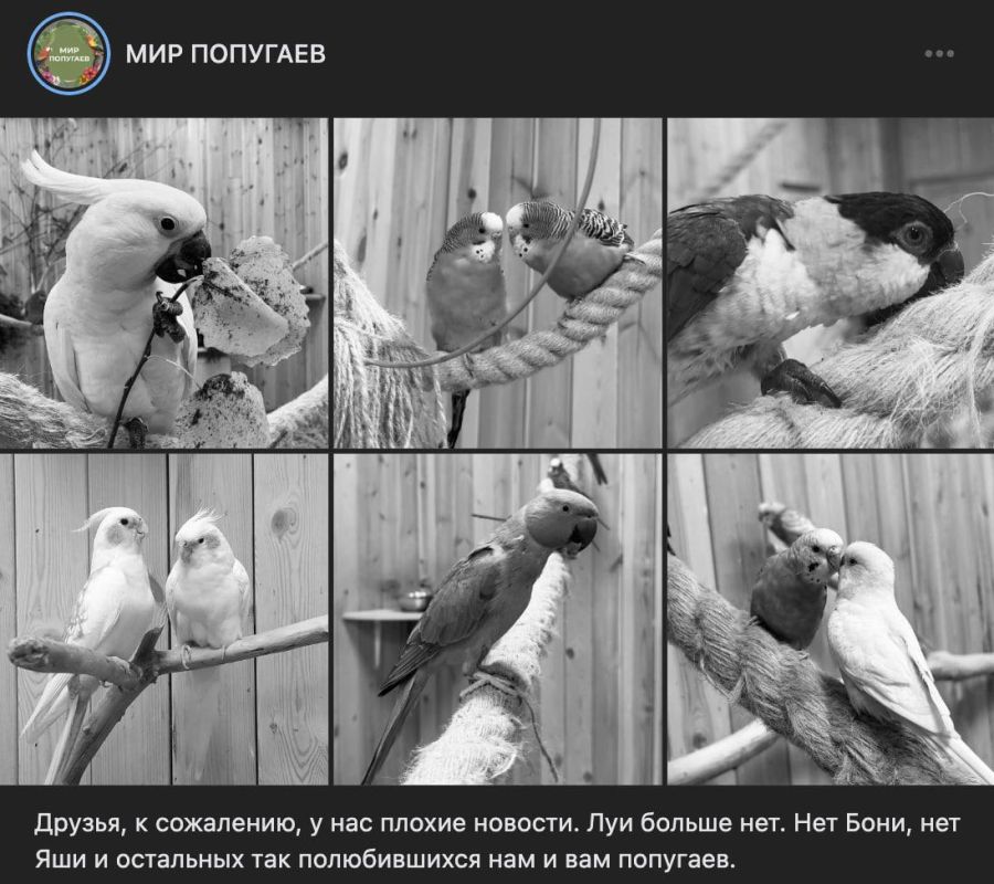 � ������� �������� ���������� � ������� ���� �������� ��������� �������� ��������