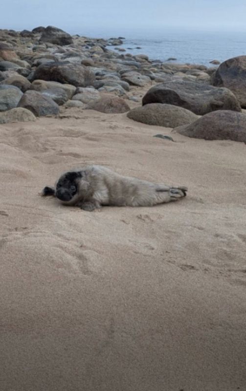 � ������� �������� ������ ��������� ��������� �����