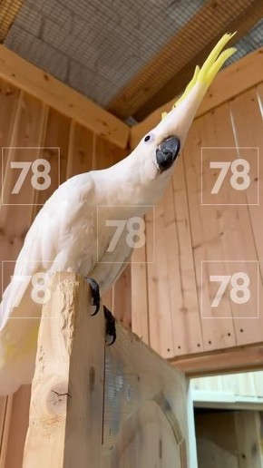 ������� �������� ��������� ���� � ����������� ����� ������ �������� � �������