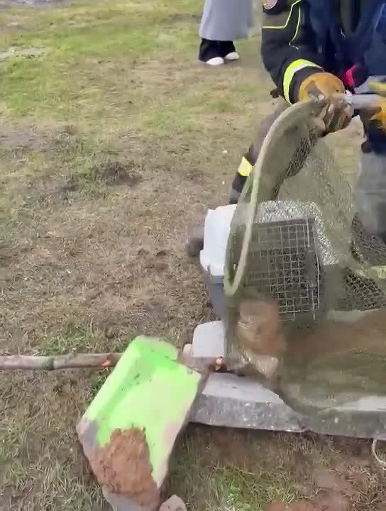 ���� ������ �������� �� ������ ������� �� ������������� ����� ���������� ���������