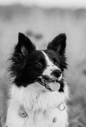 ������� ����������, ����������. ���������� � �����-�� �������� �������� ����������