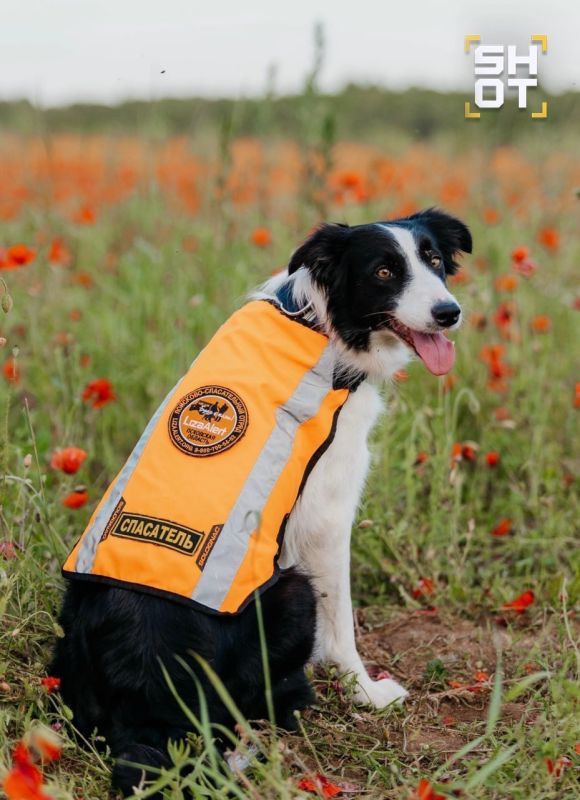 ���� ��������� ����� ���������� ������� ���������� � ����������