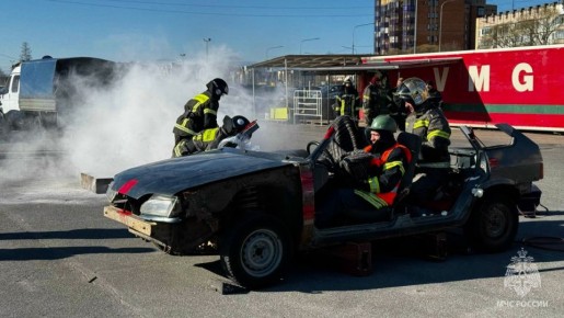 ���������� ������������ �� ���������� ��������-������������ ����� � ������ ������