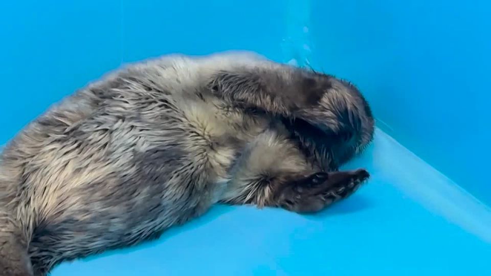 ��������� � ���������� ������� �� ������ ������ � ������� � ������