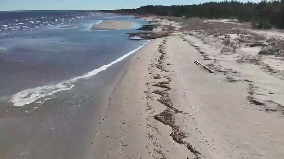 ��������� ���������� ������ ��������� ����������� ������������� �� ������ �������� ������