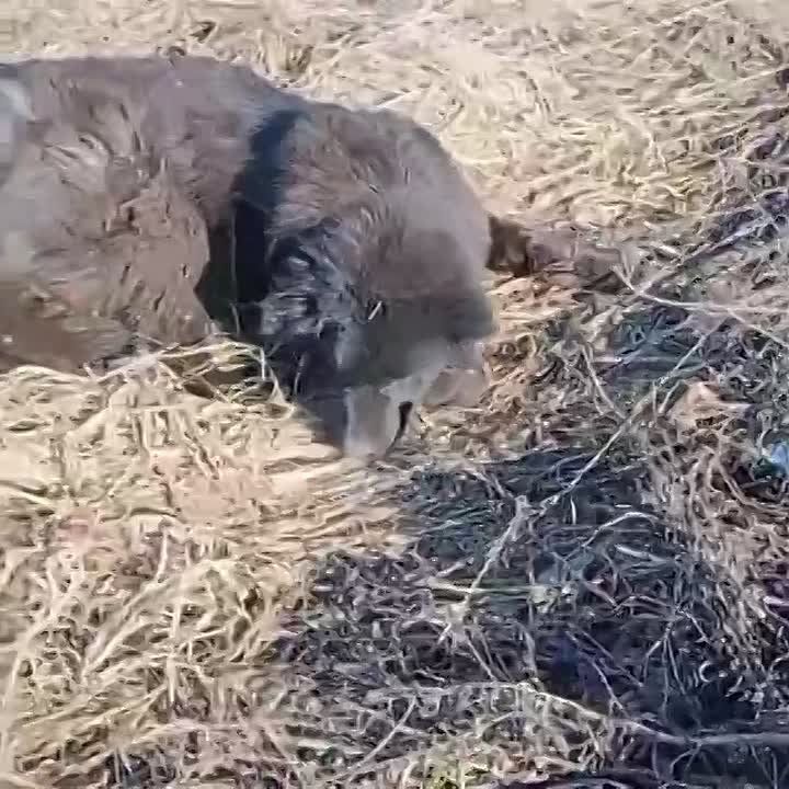 ������ ����� ����� �� ������ � �������� ������� � ���������� ������ � ��� � ������� �������� ����� �� ������� � ������ ��������� � �������