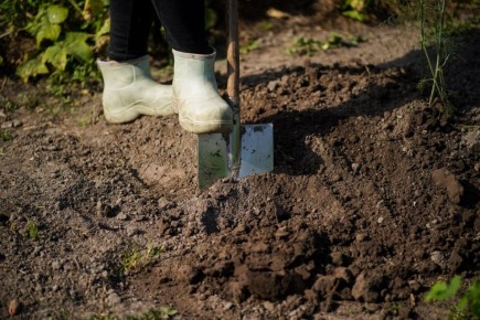 ������ ��� ����� �� ����� ������ ������ �����