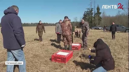 � ���������� ������ � ������������ ����� �������� ��������� ����� ����� ����� ���������