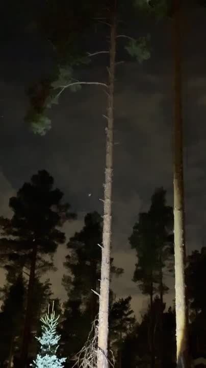 �� ����������� ���������� ����������� ������� ���� � 25-�������� �����