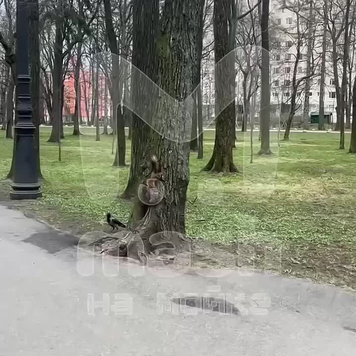 ��������� ������ � ����� �� ����������� � ������ ���� �� ������, ��������� � �������, ������� ���� ����������