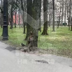 ��������� ������ � ����� �� ����������� � ������ ���� �� ������, ��������� � �������, ������� ���� ����������