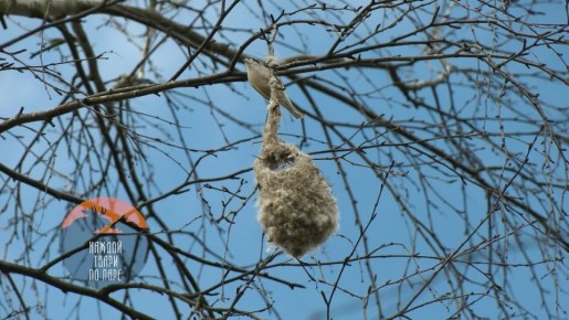 �� �������� � ���������� ������ ���������� �������� � ��� �������� ������ ������� ������������