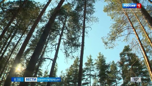 � ���������� �������� ��������������� �����